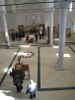 Призрен 2011